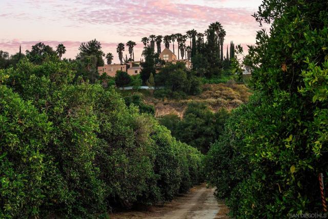 3264 Shearer Xing, Fallbrook, California 92028, 4 Bedrooms Bedrooms, ,2 BathroomsBathrooms,Single Family Residence,For Sale,Shearer Xing,240026943SD