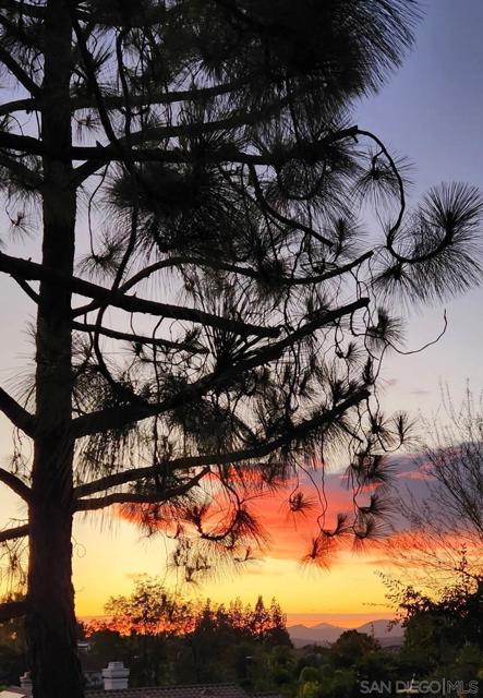 2617 LOBELIA RD, Alpine CA: https://media.crmls.org/mediaz/c661fdcb-76e1-4eb6-8cdd-3b7c7c896b8a.jpg