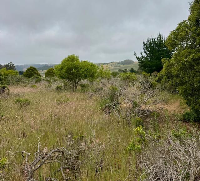 0 Bonita, Half Moon Bay CA: https://media.crmls.org/mediaz/c662943e-4ecc-411f-be4f-162b4b8b2927.jpg