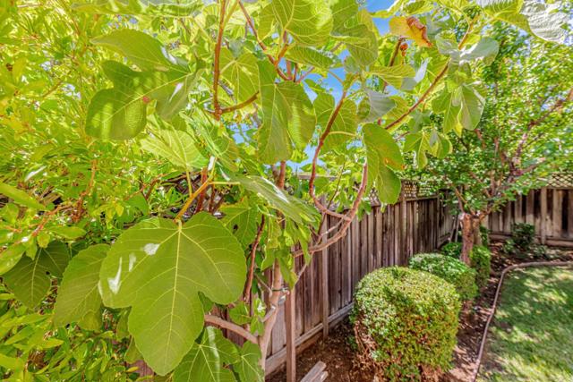 5871 Masoni Place, Gilroy CA: https://media.crmls.org/mediaz/c665b23f-3324-440b-9eca-019905dec2b9.jpg