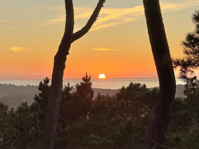 31 Del Mesa Carmel, Carmel CA: https://media.crmls.org/mediaz/c66857a4-3264-4dc7-8e8a-58df503aab78.jpg