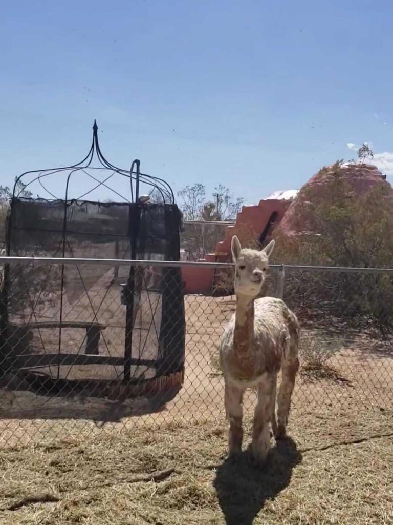 MLS #219138603PS image #32