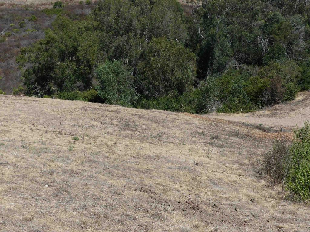 Paradise Glen Way San Marcos - photo 13