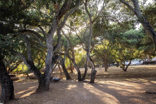 0 La Rancheria, Carmel Valley CA: https://media.crmls.org/mediaz/c66e48f4-ad4f-41be-b41b-71ef912887c6.jpg