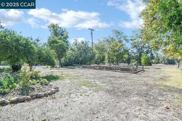 2280 Concord Ave, Brentwood CA: https://media.crmls.org/mediaz/c675b3c6-3e9e-4fc4-be4d-b6275f13f9b2.jpg