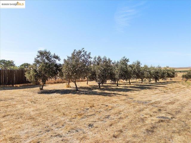 5665 Victoria LN, Livermore CA: https://media.crmls.org/mediaz/c6763f46-8c14-4193-b26c-d9ff973a9b9c.jpg