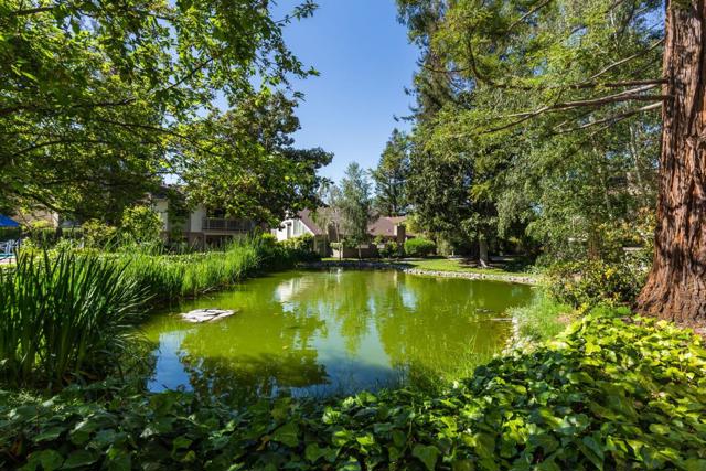 19414 Vineyard Lane, Saratoga CA: https://media.crmls.org/mediaz/c68ad23a-d05c-4cfb-8e52-5e0520702db1.jpg