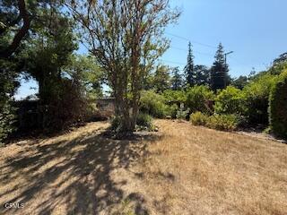 591 Alameda Street, Altadena CA: https://media.crmls.org/mediaz/c68ddf09-5a11-4df7-b49c-6f32bc8d5081.jpg