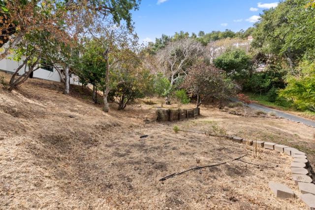 162 Madera Avenue, San Carlos CA: https://media.crmls.org/mediaz/c68ef166-2f4b-460d-a2f8-5f1c82f87655.jpg