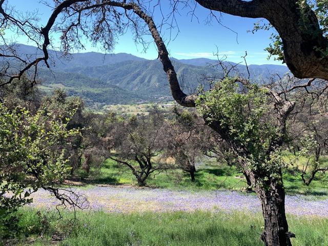 0 Cachagua, Carmel Valley CA: https://media.crmls.org/mediaz/c69060a7-2f26-4274-90af-27c80b477c22.jpg
