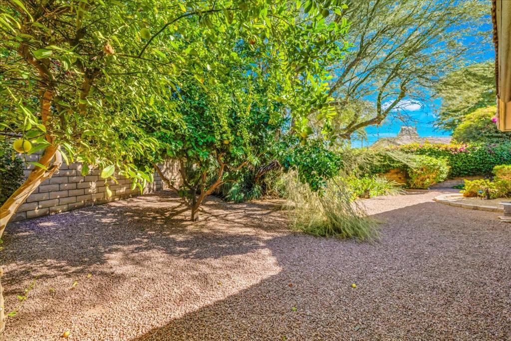 MLS #219138530DA image #37