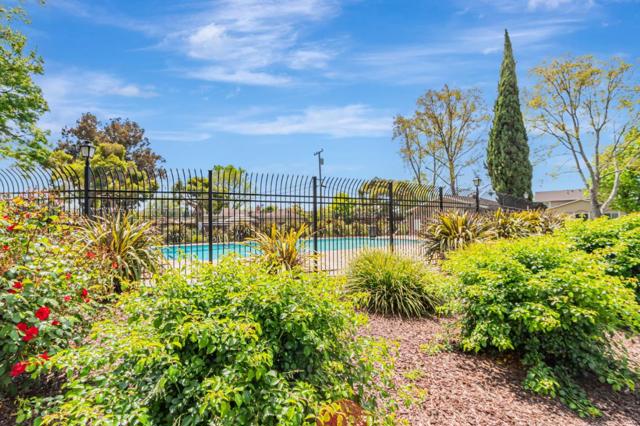 295 Rio Verde Place, Milpitas CA: https://media.crmls.org/mediaz/c692eed2-d107-45f8-bd2e-03ca5f0d2768.jpg