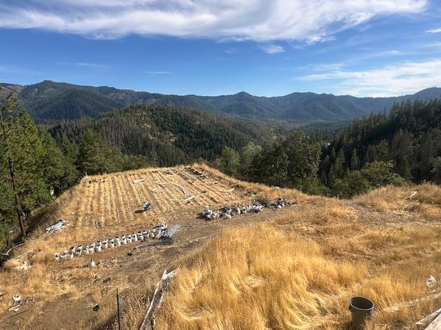 1900 Devils Gulch Road, Hayfork CA: https://media.crmls.org/mediaz/c6935d2d-6650-49e6-8fbc-02604c179732.jpg