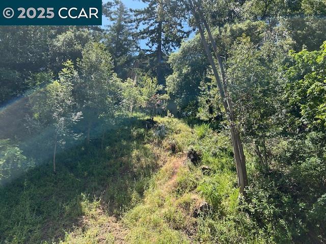 0 Starkville Ct, Orinda CA: https://media.crmls.org/mediaz/c693a2b4-5194-469a-9a66-e5201467ecb5.jpg