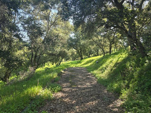 16 SLEEPY HOLLOW DRIVE, Carmel Valley CA: https://media.crmls.org/mediaz/c6972e66-469b-43fc-ba15-17895f412dc3.jpg