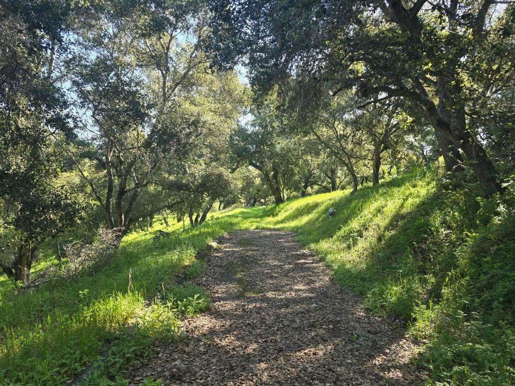 MLS #ML82001285 image #18