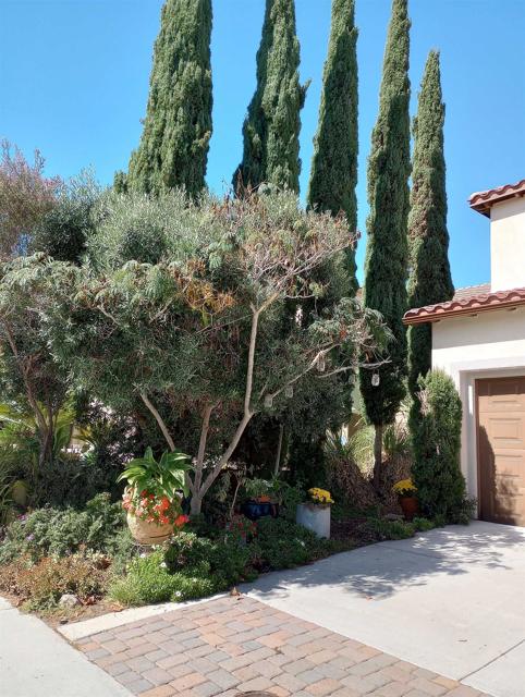 5544 Mill Creek Road, San Diego CA: https://media.crmls.org/mediaz/c699ce13-7f6b-425d-b9b9-fe3cc6b7d969.jpg