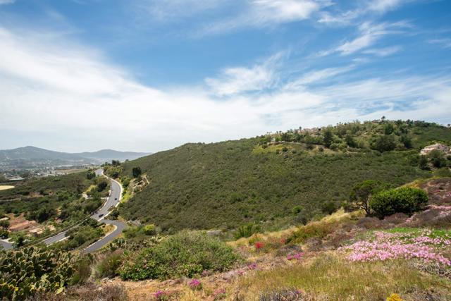2133 View Crest Glen, Escondido CA: https://media.crmls.org/mediaz/c6aa7ec3-86bb-4a4f-85ea-e2c53c18c780.jpg