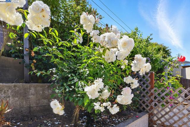 232 Longford Dr, South San Francisco CA: https://media.crmls.org/mediaz/c6ad137d-bdd5-4609-9070-ed1637171389.jpg