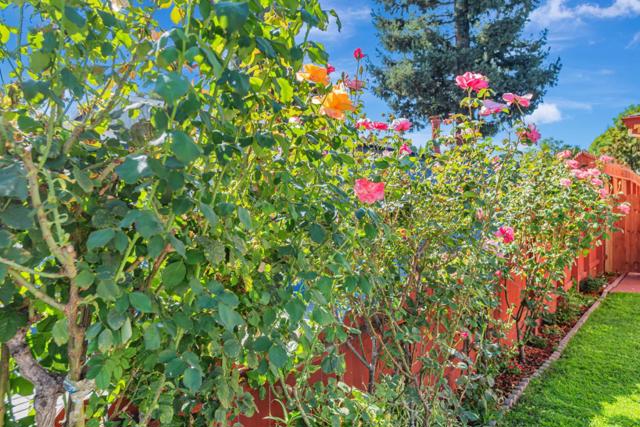 250 San Carlos Avenue, Redwood City CA: https://media.crmls.org/mediaz/c6aebfe2-4719-425f-a18c-2104a758ae21.jpg