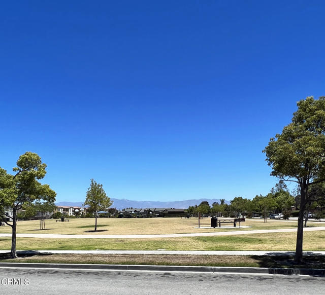 Park/Mountain View