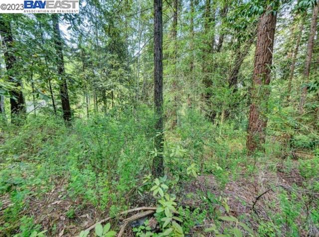 Image 11 of 24 For 17535 Woods Ave