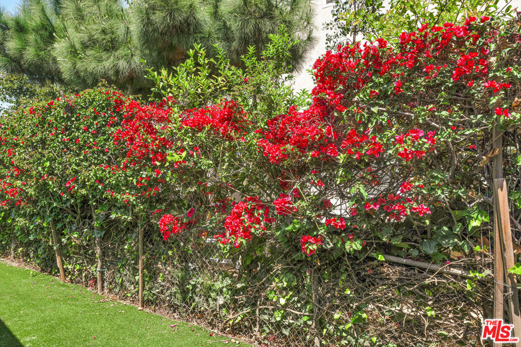 3733 Willowcrest AvenueStudio City img 35