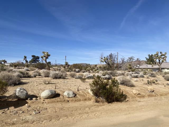 Image 3 for 6818 Outpost Rd, Joshua Tree, CA 92252