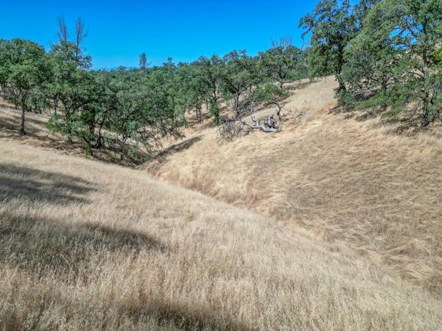 0 Wood Duck Pass Road, Red Bluff CA: https://media.crmls.org/mediaz/c6d2319d-fb57-48e3-983c-ef8c0a9ffb8f.jpg