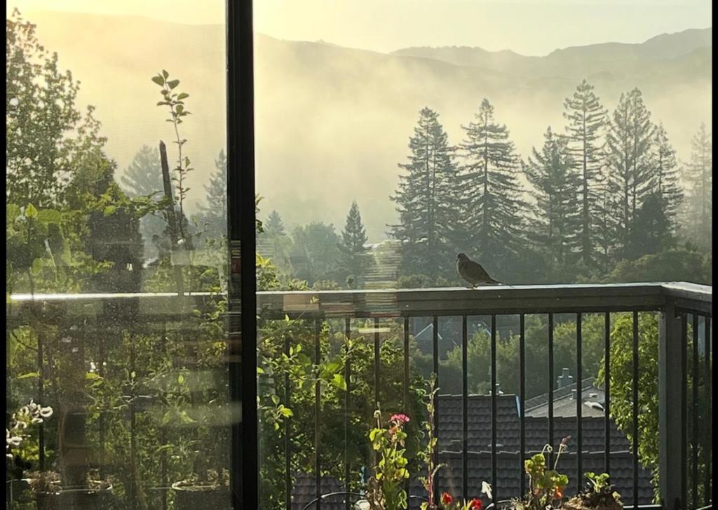https://media.crmls.org/mediaz/c6d9678e-9df1-45ad-949e-529587df3e9a.jpg?preset=X-Large