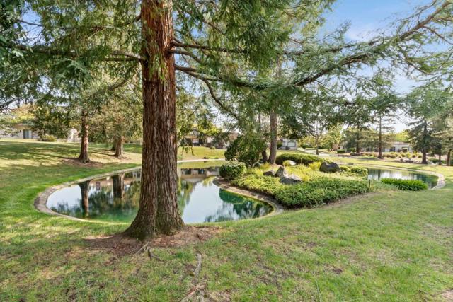 6139 Montgomery Place, San Jose CA: https://media.crmls.org/mediaz/c6dacb73-b19e-404d-bdae-20c036da963a.jpg