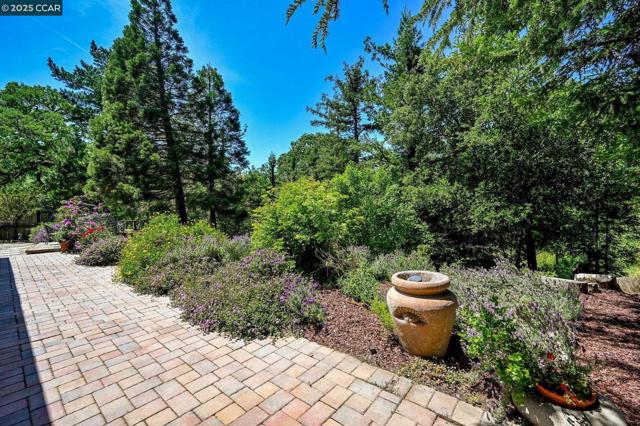 241 Lombardi Cir, Walnut Creek CA: https://media.crmls.org/mediaz/c6dec7d0-c991-4318-ab1d-d149d6d26ee5.jpg