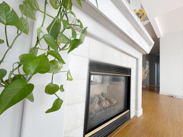 1225 Vienna Dr, Sunnyvale CA: https://media.crmls.org/mediaz/c6df8389-0e97-49e2-a7b8-2456e7b34bfb.jpg