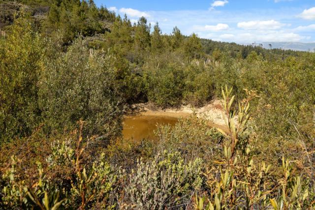 0 Summit Road, Los Gatos CA: https://media.crmls.org/mediaz/c6e46e24-11cc-4d86-bf6d-d3619030a26c.jpg