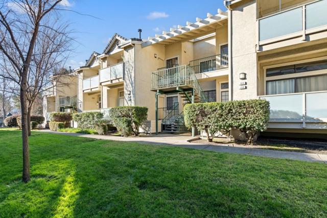 316 Borel Lane, Danville CA: https://media.crmls.org/mediaz/c6f4a4b4-bdd5-4bc5-b4a7-343fe696c29d.jpg