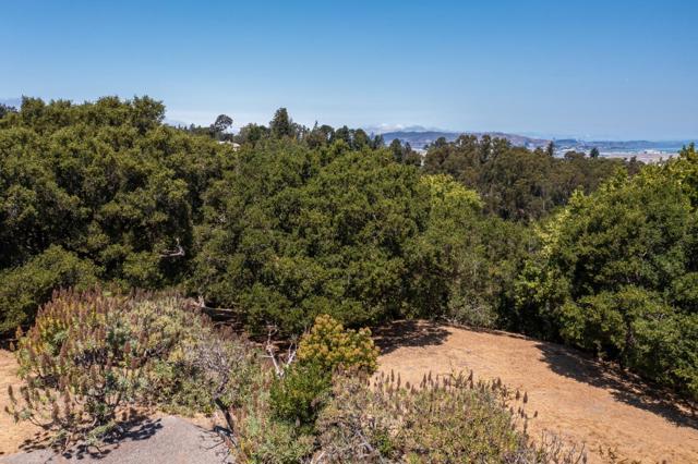 0 Eugenia, Hillsborough CA: https://media.crmls.org/mediaz/c6f62b7c-fb9c-4b54-a528-828f4fbf22b4.jpg