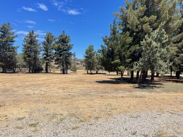 49275 Flightline Way, Aguanga CA: https://media.crmls.org/mediaz/c702988c-2ec0-4b1a-beaf-79fbf873d86a.jpg