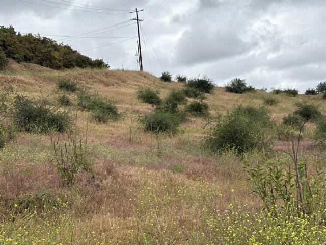 0 Santa Virginia Drive, Valley Center CA: https://media.crmls.org/mediaz/c7033d94-61cd-4221-af3f-faa022ce4355.jpg