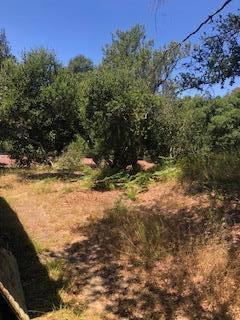 17580 Pond Derosa Lane, Prunedale CA: https://media.crmls.org/mediaz/c704cdcc-b53e-422b-80ad-488eeed4ee7e.jpg