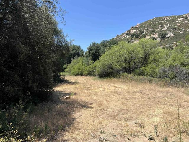 Detail Gallery Image 6 of 17 For Riverside Dr, Descanso,  CA 91916 - – Beds | – Baths