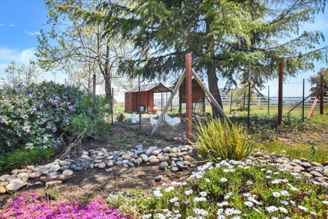 525 Heatherwood Estates Drive, Hollister CA: https://media.crmls.org/mediaz/c70b99db-fb81-46bf-9de6-6db1cf613cc5.jpg
