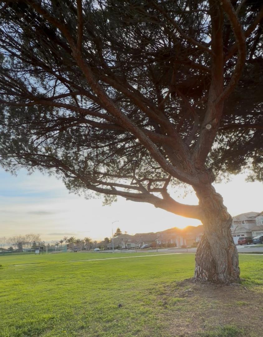 https://media.crmls.org/mediaz/c711e236-e572-4936-bbe6-658a7be00bc4.jpg?preset=X-Large