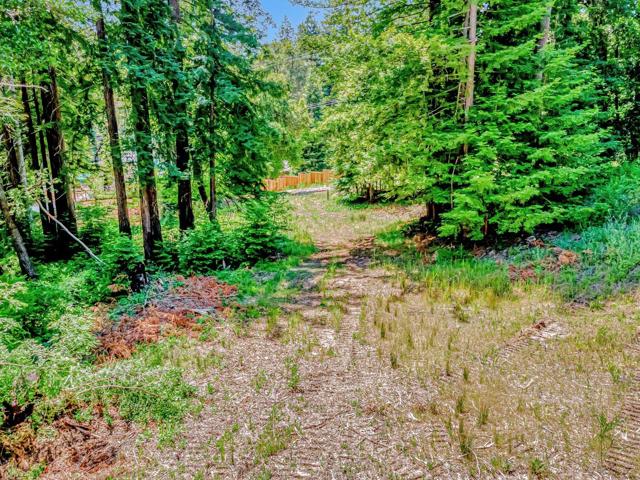 0 Memory, Boulder Creek CA: https://media.crmls.org/mediaz/c714da57-6d9c-45c9-8038-4a1d2d7cb770.jpg