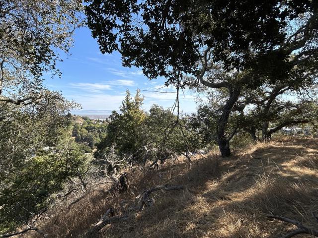 0 Winding Way, San Carlos CA: https://media.crmls.org/mediaz/c72207d4-f881-4694-a504-dbb93dce816b.jpg