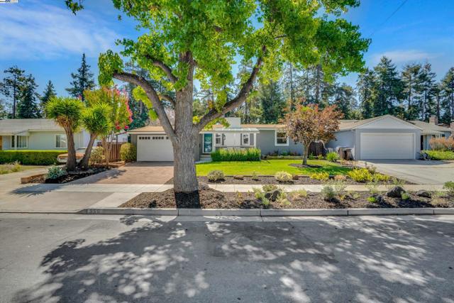 956 Tamarack Ave, San Jose CA: https://media.crmls.org/mediaz/c72cbac9-c1f9-4156-8859-35df3f5fe6ff.jpg