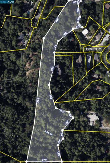 100 Black Log Rd, Kentfield CA: https://media.crmls.org/mediaz/c734bd12-7a7e-4549-a086-3d4446712652.jpg