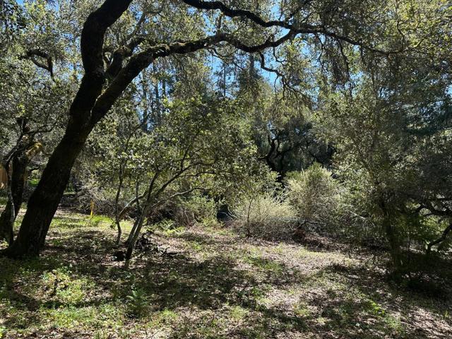 0 Hidden Glen Drive, Scotts Valley CA: https://media.crmls.org/mediaz/c739aa38-af0b-46e0-a59c-a210f2188312.jpg