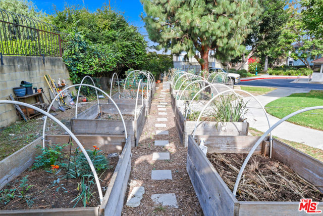 community garden