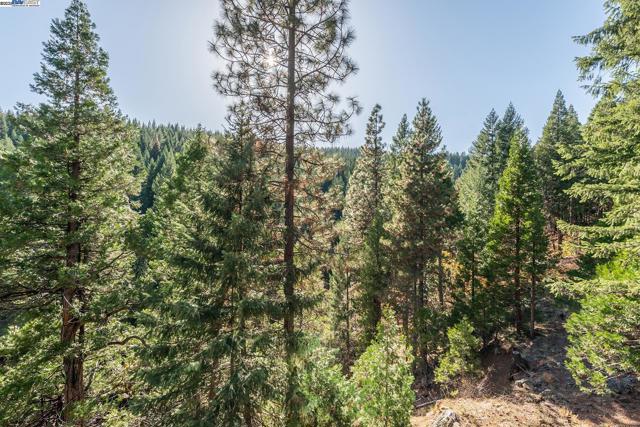 851 Mountain Aire Lane, Trinity Center CA: https://media.crmls.org/mediaz/c751a3a1-4df8-464d-a9cc-4fdbdd8a1ab9.jpg
