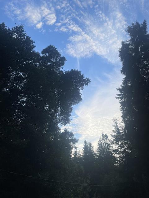 1151 Lakeside Drive, Felton CA: https://media.crmls.org/mediaz/c76538df-edf8-4f18-82ad-84c13f4a24f2.jpg